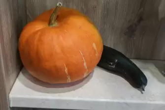 Отделка ламинатом балкона под оранжерею